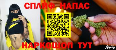 дурь Берёзовский