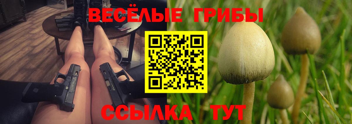 закладка  Галлюциногенные грибы прущие грибы  Вход с VPN  Кандалакша 